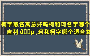 柯字取名寓意好吗柯和珂名字哪个吉利 🐵 ,珂和柯字哪个适合女孩名字 🐞